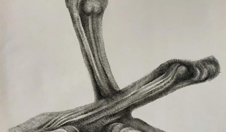 ‘Form, Line, and the Language of Sculpture’, de Roberto Estopiñán