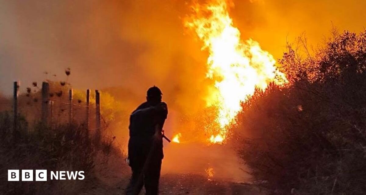 Algeria introduces death penalty for arsonists after wildfires