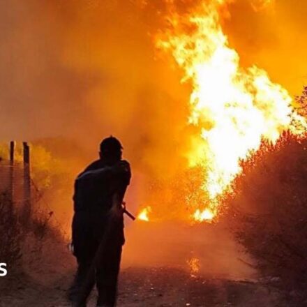 Algeria introduces death penalty for arsonists after wildfires