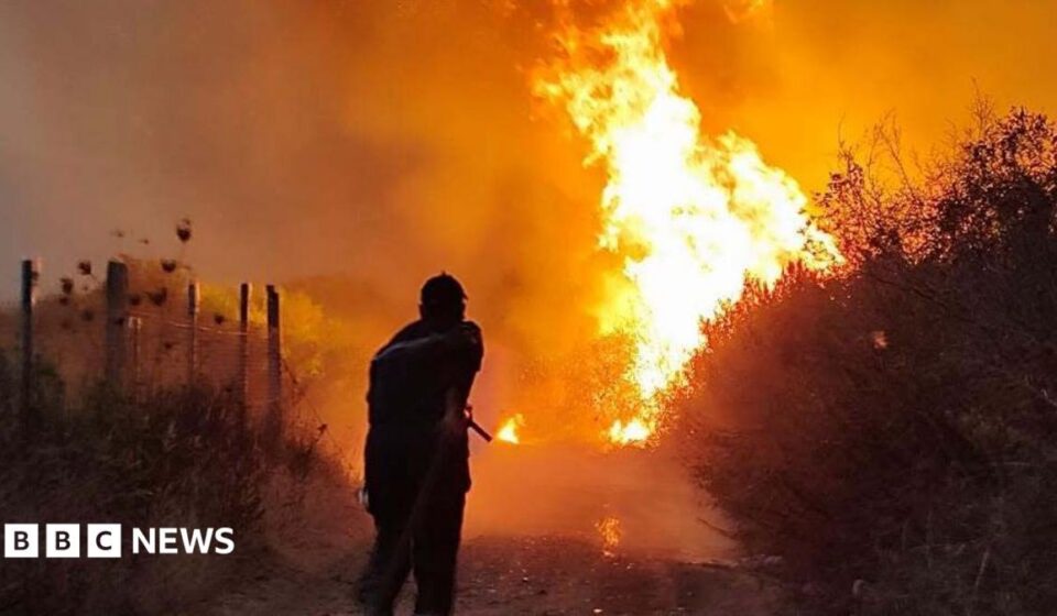 Algeria introduces death penalty for arsonists after wildfires