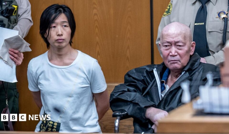 California pair charged with abusing at least 14 surrogate-born children