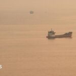 Container ship sinks in Strait of Hormuz after being hit by projectile, Singapore says
