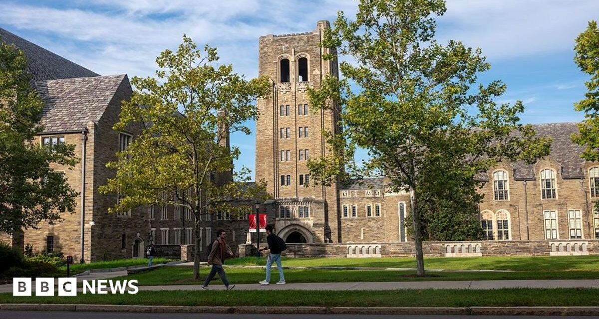 Cornell frat house rape accuser 'under siege' online, says lawyer