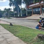 Crónicas de La Habana: La Habana, una ciudad de búsquedas desesperadas