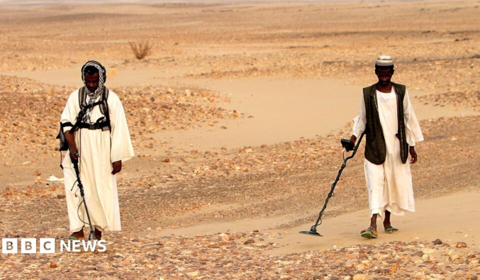 Dozens of gold prospectors killed in strikes on Egypt-Sudan border, rights group says