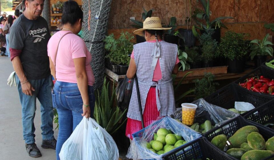 EE UU: La ofensiva migratoria de Trump golpea a los negocios latinos