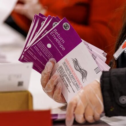 Election expert questions safeguards amid noncitizen voter roll dispute