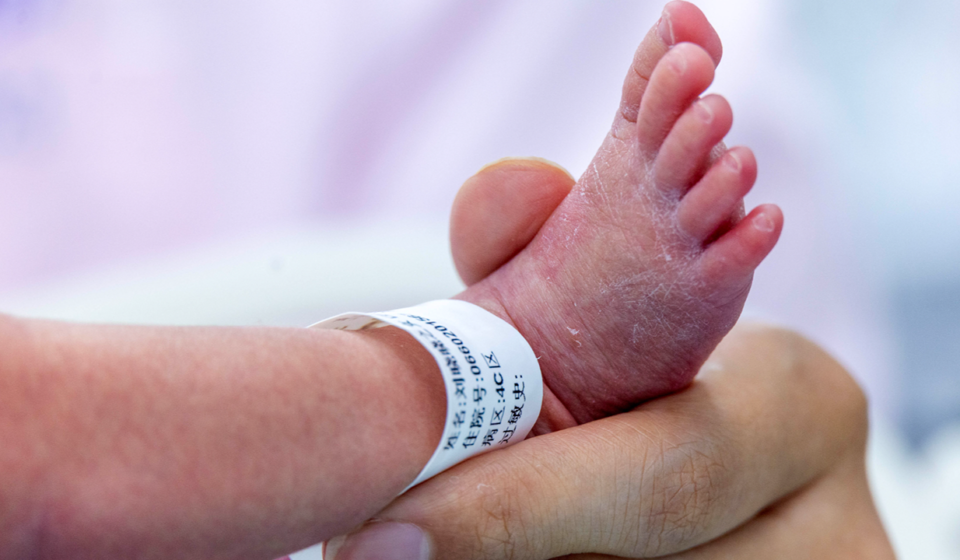 Expert calls state 'Wild West' for surrogacy after couple charged in abuse case