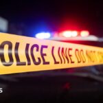 Georgia officials hunt for suspect in shooting that killed two and injured 35