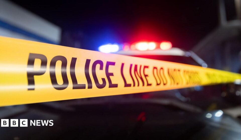 Georgia officials hunt for suspect in shooting that killed two and injured 35