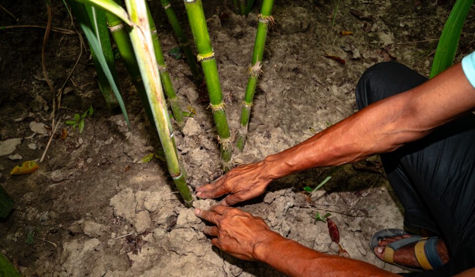 India: Food crisis, economic shock ahead as country braces for El Niño