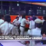 India protests: New 'cockroach' movement leader named
