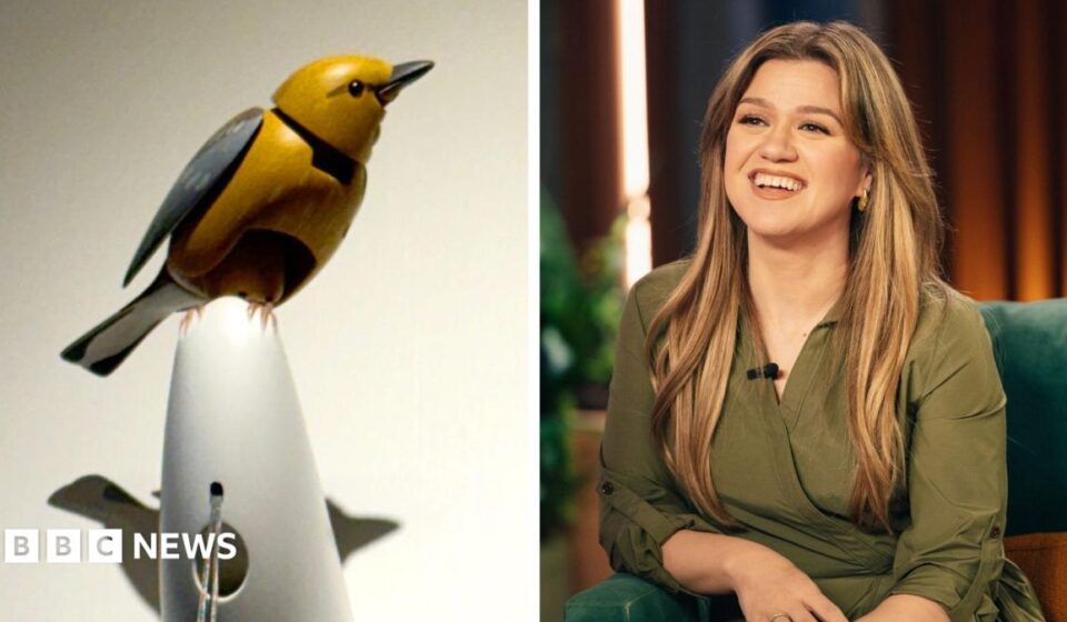 Inside Brooklyn novelty shop at centre of 'surreal' row with Kelly Clarkson over mechanical bird