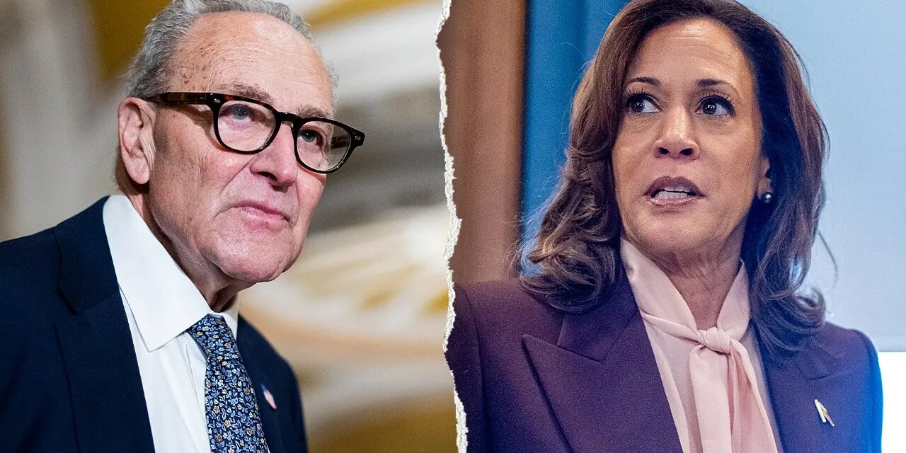 Kamala Harris seen as 2028 front-runner but Dem senators hold back