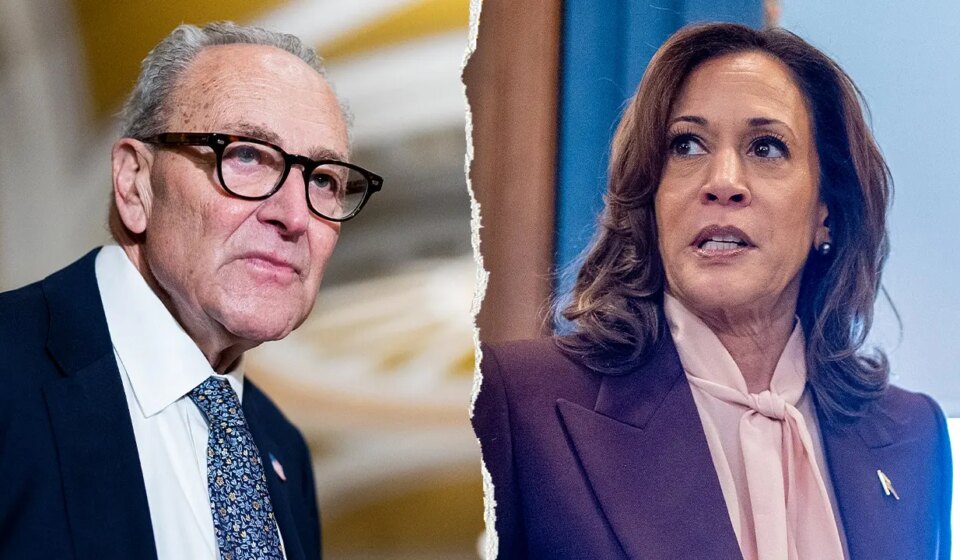 Kamala Harris seen as 2028 front-runner but Dem senators hold back