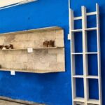 Los Mercados de Barrio en Sancti Spíritus, caros y vacíos
