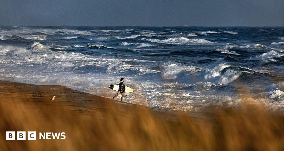 Medical plane with 6 on board missing off Massachusetts coast