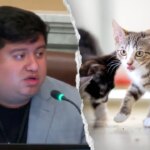 Minneapolis council member mocked for saying Waymo is killing cats