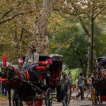 NYC Council votes to ban horse-drawn carriages in Central Park by 2028