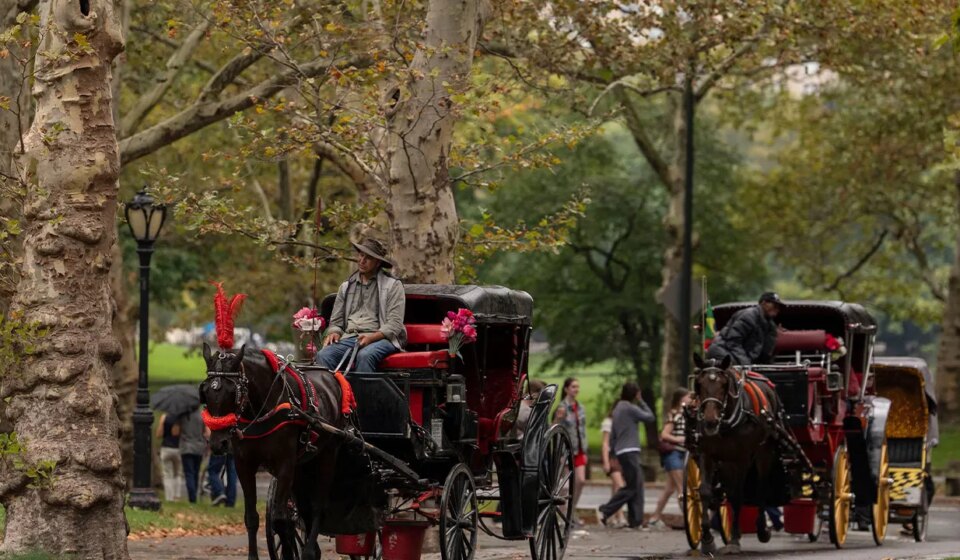 NYC Council votes to ban horse-drawn carriages in Central Park by 2028