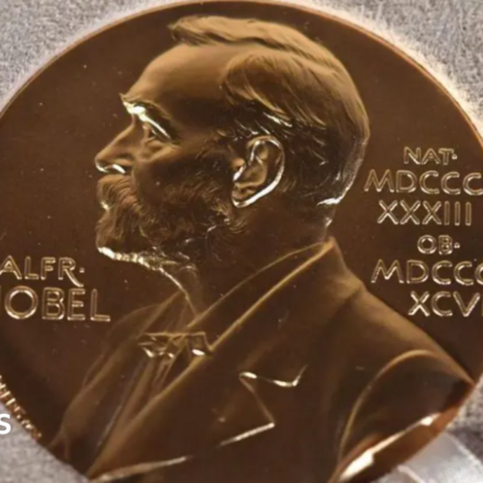 Nobel Prize 2026 awarded for showing how nerve cells shape feelings