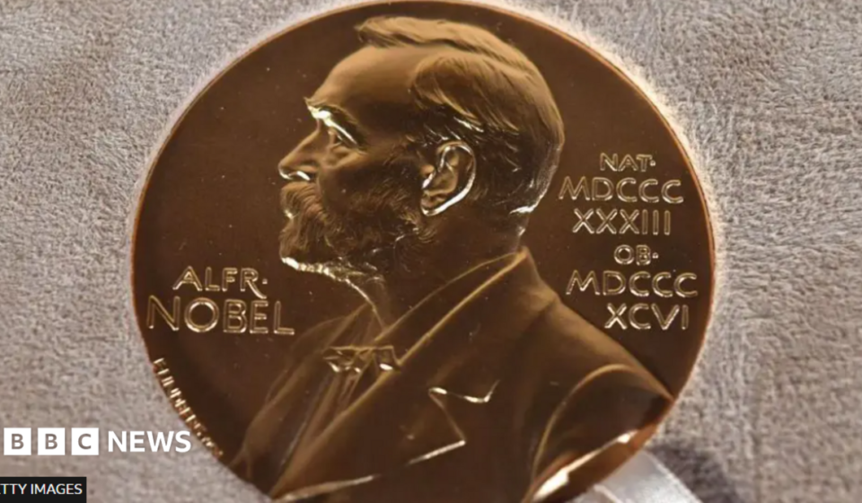 Nobel Prize 2026 awarded for showing how nerve cells shape feelings