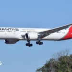 Qantas flight grounded after bedbug outbreak