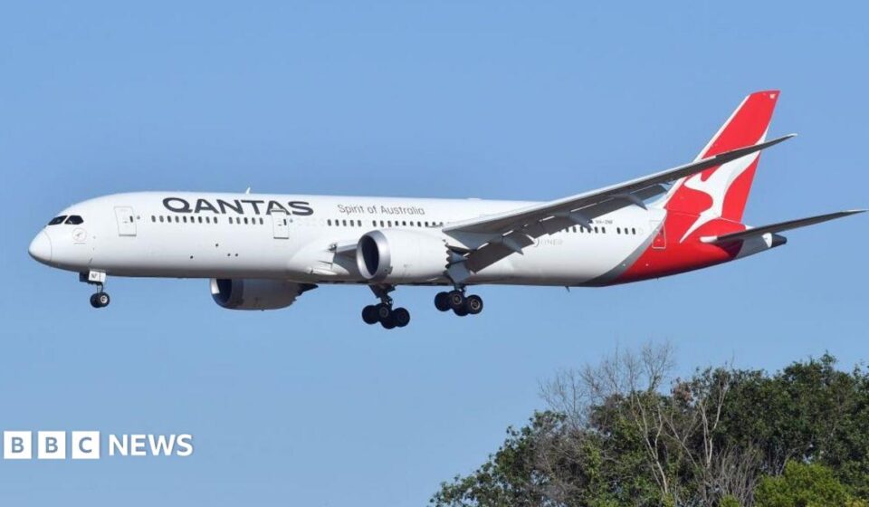 Qantas flight grounded after bedbug outbreak