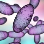 Russian lab worker dies amid plague reports — here's what we know