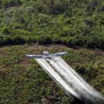 Salud: Florida reporta el mayor brote de dengue de EE UU en una década