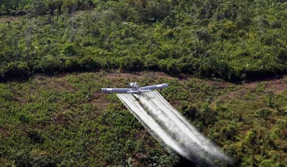 Salud: Florida reporta el mayor brote de dengue de EE UU en una década