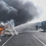 South African anti-migrant protests: Cars torched and shops looted in Durban and Soweto
