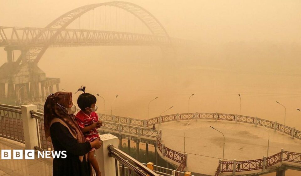 South East Asia haze: What's choking Singapore, Malaysia and Indonesia?