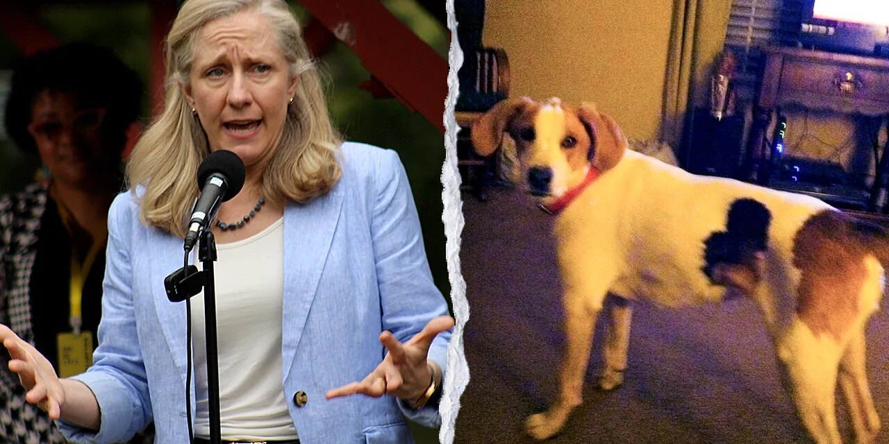 Spanberger's office restores voting rights to dead dog, probe sought