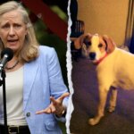 Spanberger's office restores voting rights to dead dog, probe sought