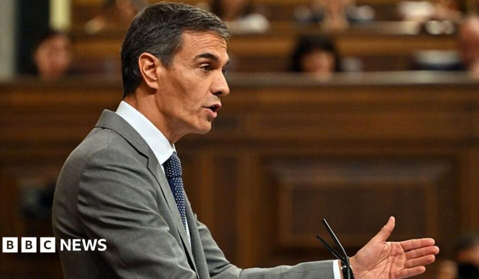 Spanish PM Sánchez loses key housing crisis vote after eviction of woman, 87