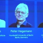 Switching on brain cells: the Nobel-winning science of optogenetics