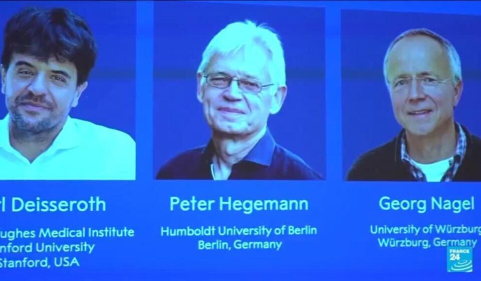 Switching on brain cells: the Nobel-winning science of optogenetics