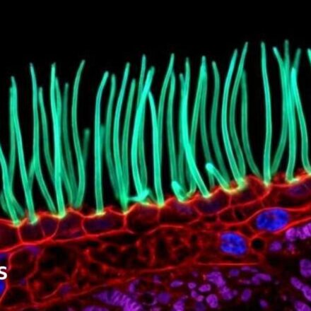 Tiny image sparks big backlash in Nikon photo contest