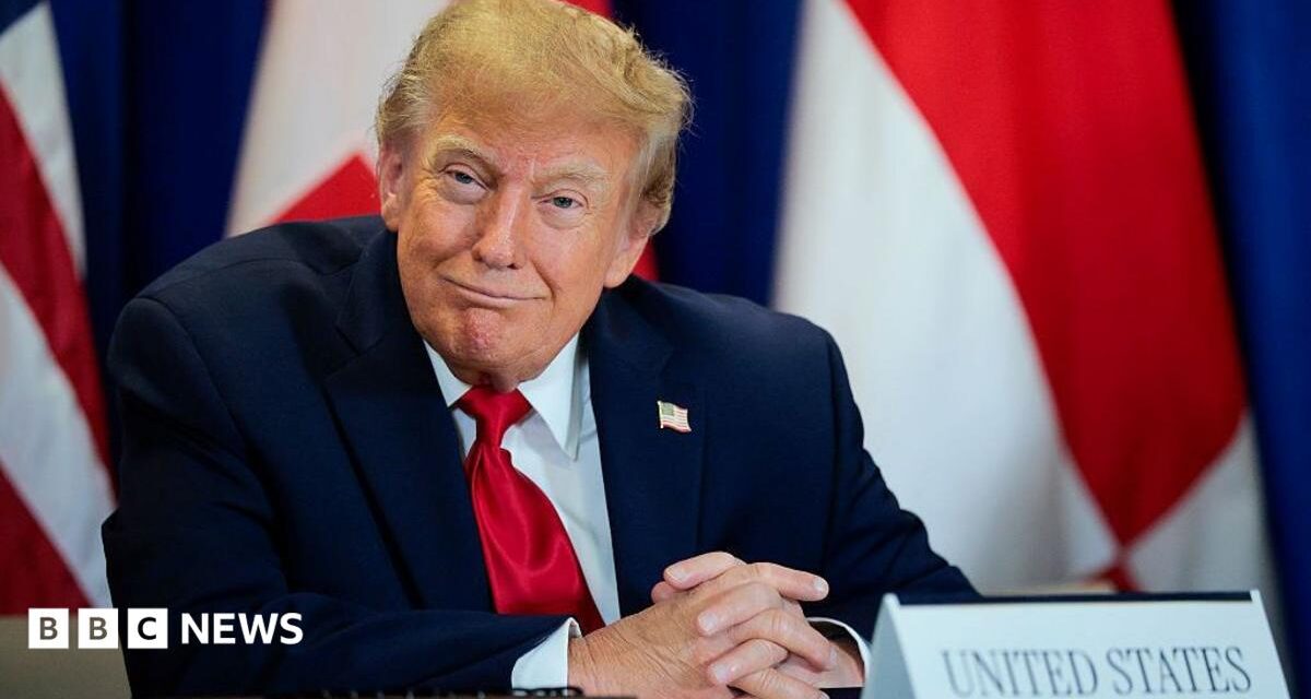 Trump's AI rebrand causes 'unprecedented' demand for Slovenian website names