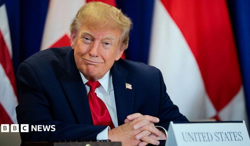 Trump's AI rebrand causes 'unprecedented' demand for Slovenian website names