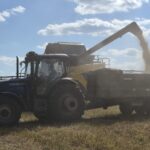 Ukraine and Russia's grain harvest under threat amid Black sea attacks