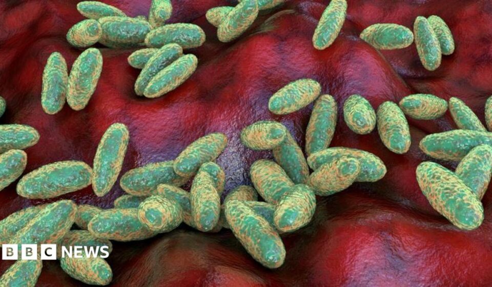 What is pneumonic plague and how does it spread?
