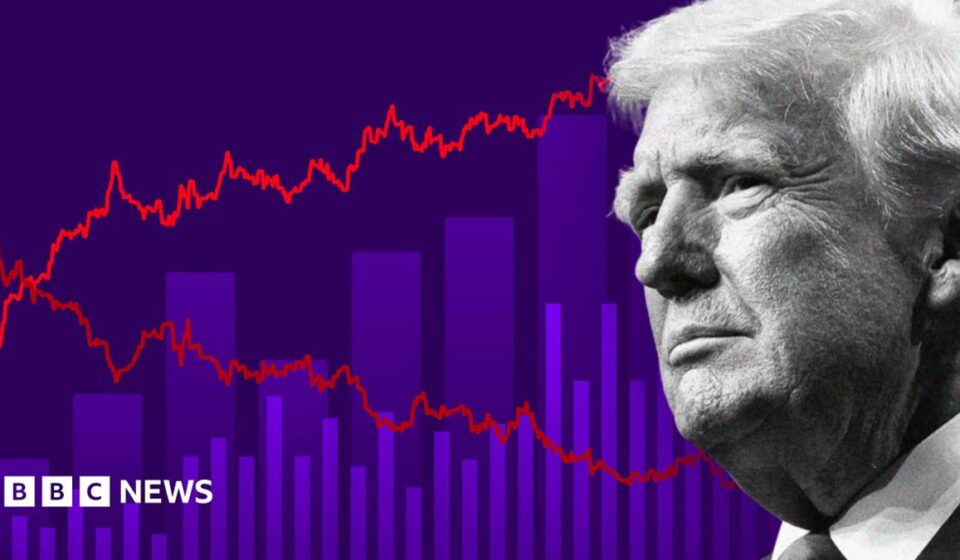 Where the US midterm elections will be won and lost