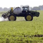 ‘So safe you could drink it’: Scientists and pesticide victims fear an EU rollback